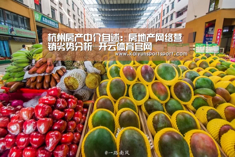 杭州房产中介自述:房地产网络营销劣势分析-开云体育官网(图2) 开云体育官网